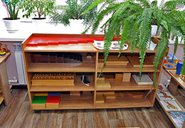 Окружающий мир