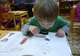 Окружающий мир